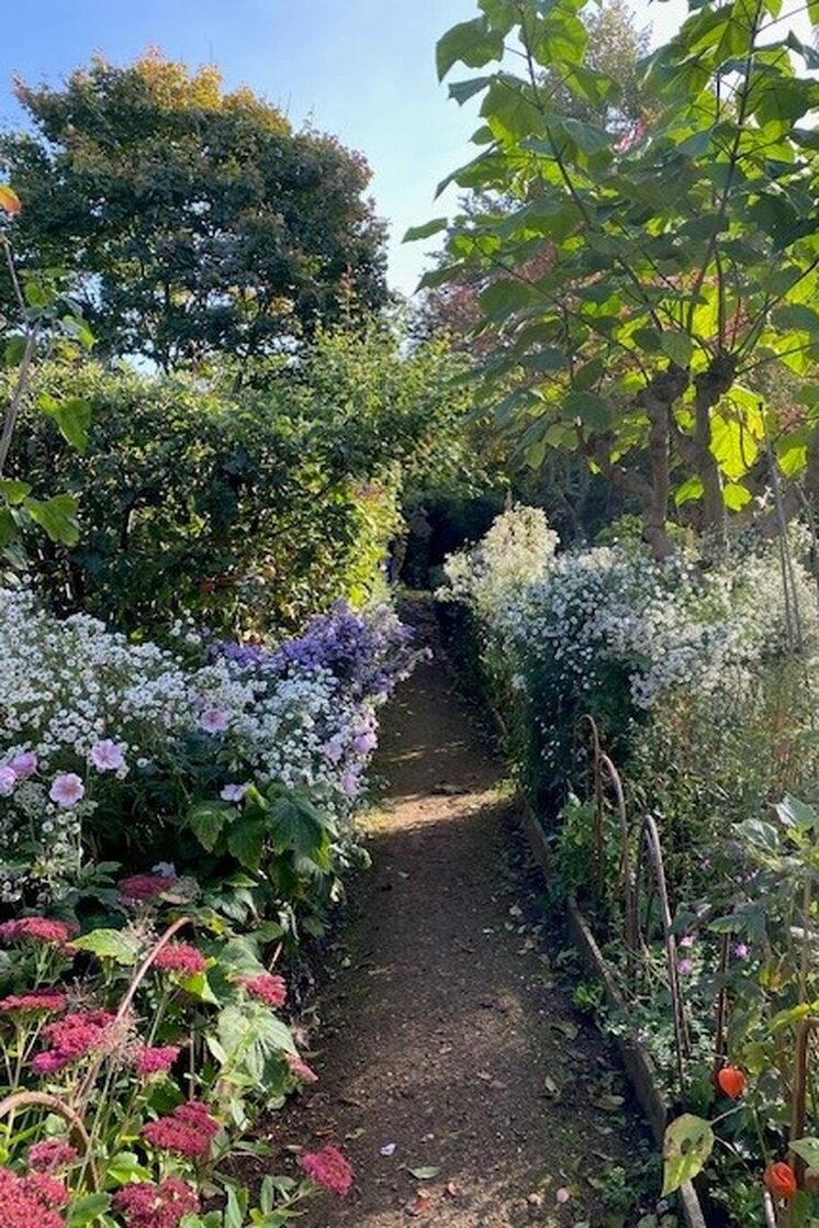 The Recovery Tree Charity - Twigs Summer Open Day 2026