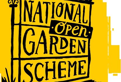 The Recovery Tree Charity - Home