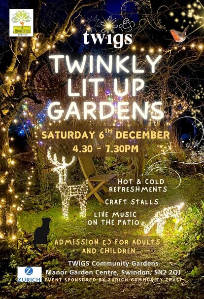 Twinkly TWIGS, Swindon