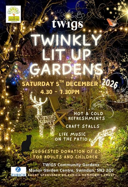 Twinkly TWIGS, Swindon