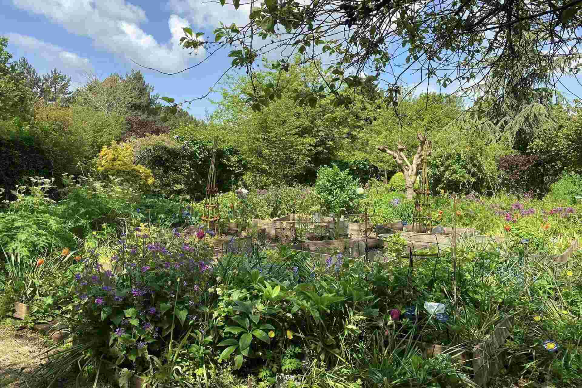 TWIGS garden in Swindon