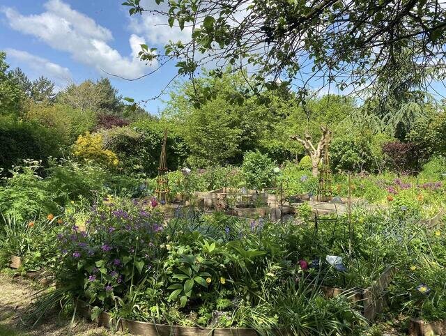 TWIGS Community Garden