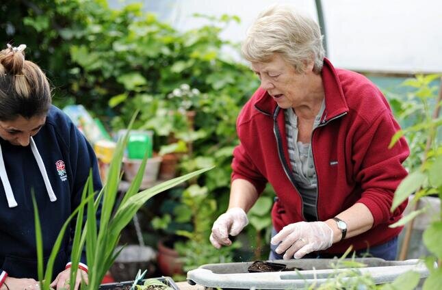 Therapeutic activity at TWIGS