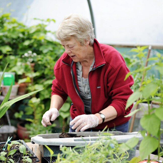 A volunteer at TWIGS