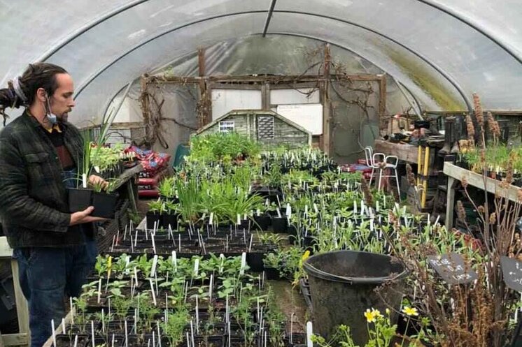 TWIGS Gardens in Swindon