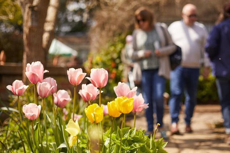 Flowers at TWIGS in Swindon